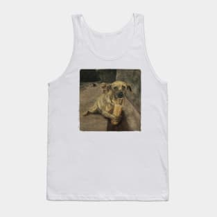 poor dog eating bread Tank Top